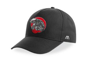 Gorra Panthers